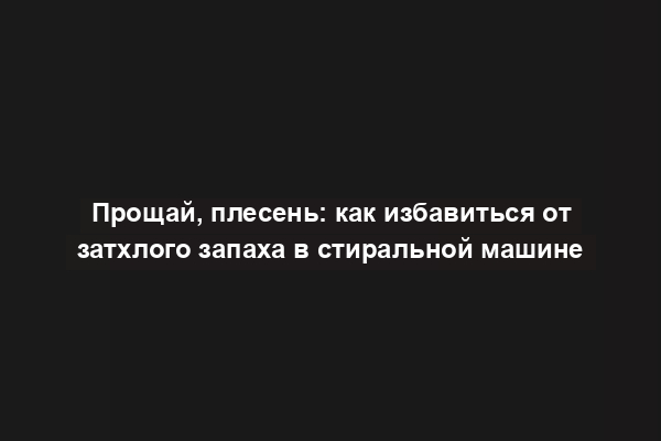 Прощай, плесень: как избавиться от затхлого запаха в стиральной машине