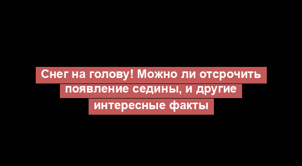 Снег на голову! Можно ли отсрочить появление седины, и другие интересные факты