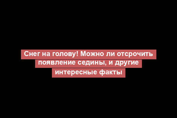 Снег на голову! Можно ли отсрочить появление седины, и другие интересные факты