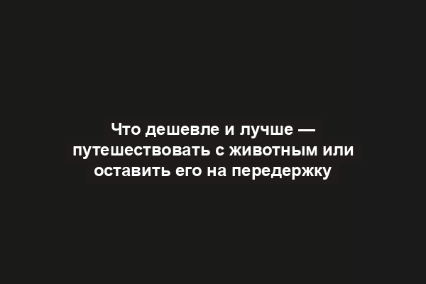 Что дешевле и лучше — путешествовать с животным или оставить его на передержку
