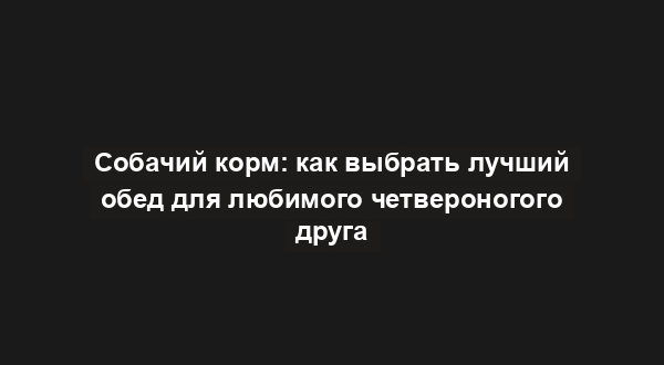 Собачий корм: как выбрать лучший обед для любимого четвероногого друга