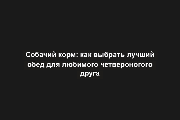 Собачий корм: как выбрать лучший обед для любимого четвероногого друга